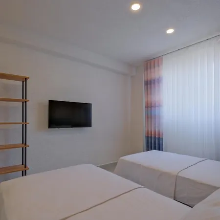 Woynpoint çınar *